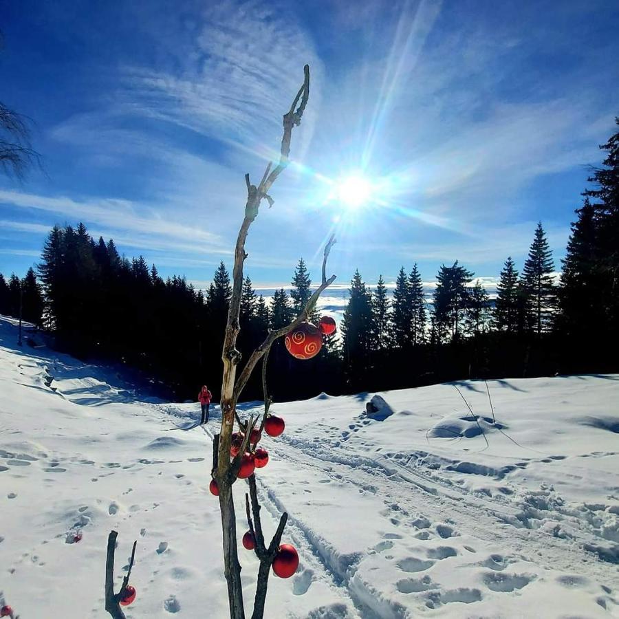Golte Skicenter App Mountain View With Balcony Mozirje Ngoại thất bức ảnh