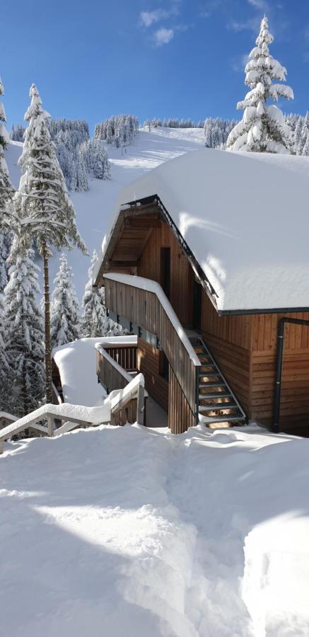 Golte Skicenter App Mountain View With Balcony Mozirje Ngoại thất bức ảnh